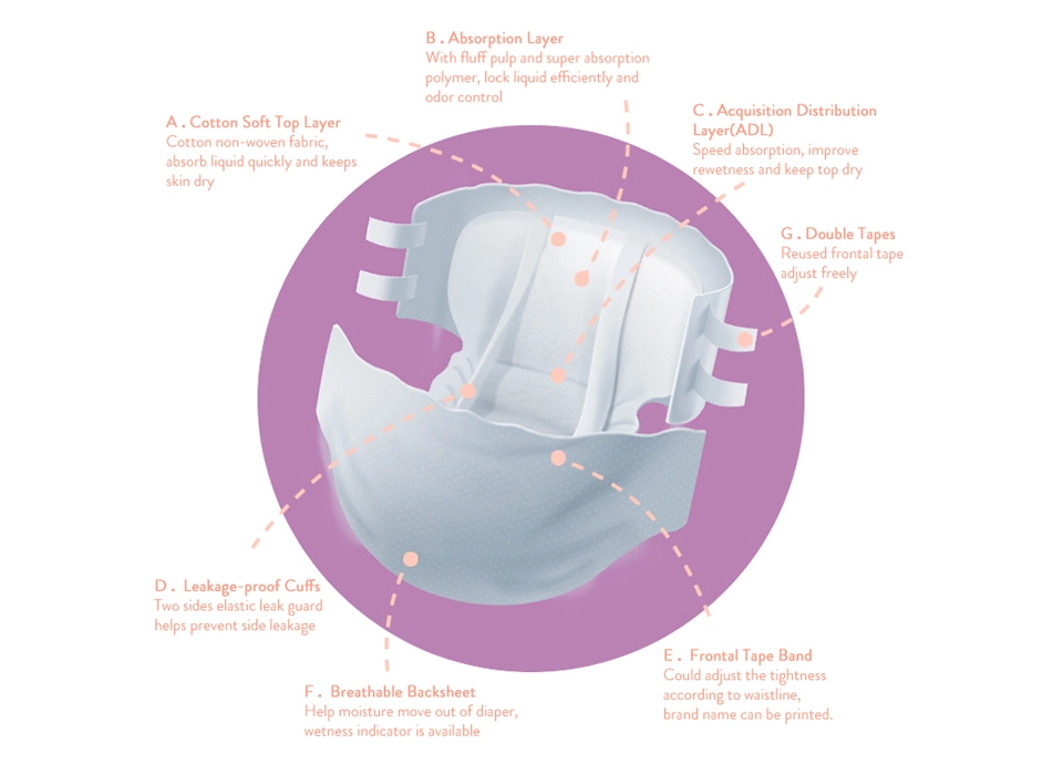Chinese Adult Diapers Construction